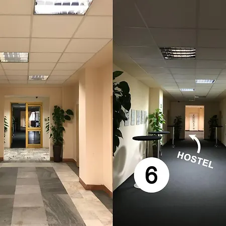 The *